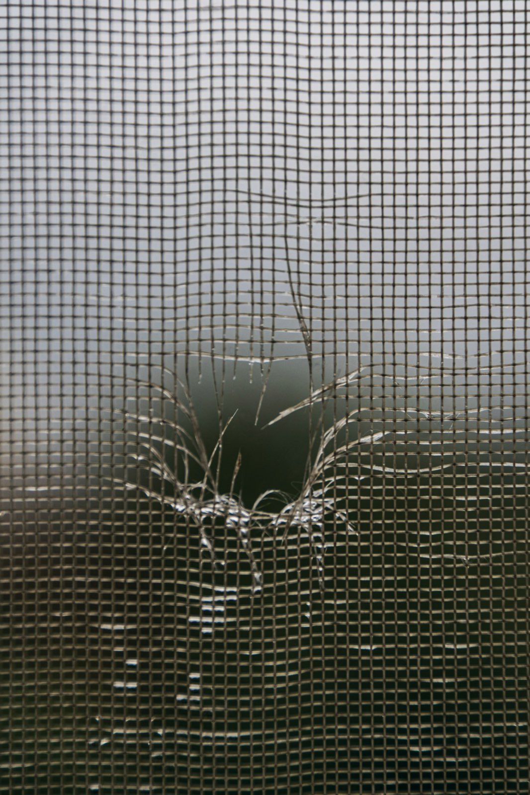 Close-up of a torn window screen with a hole in the mesh